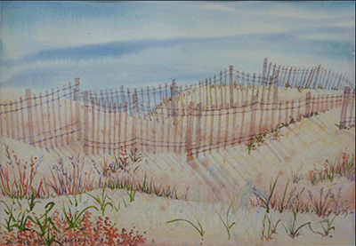 Outer Banks Sand Fences
